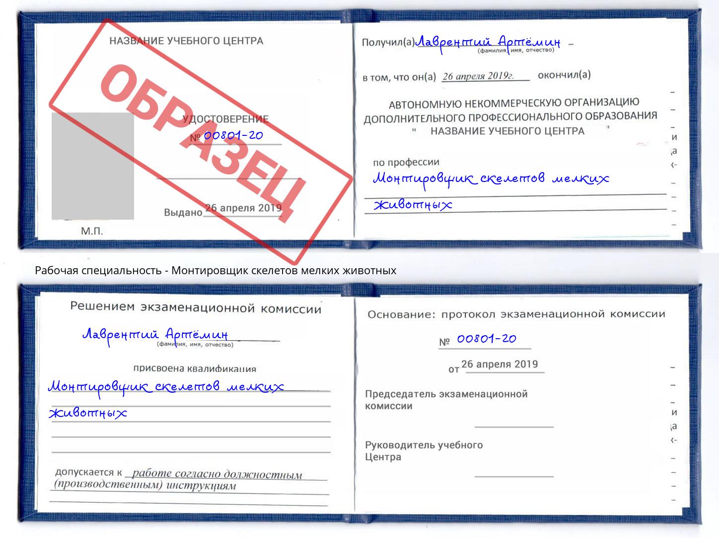 Монтировщик скелетов мелких животных Азов